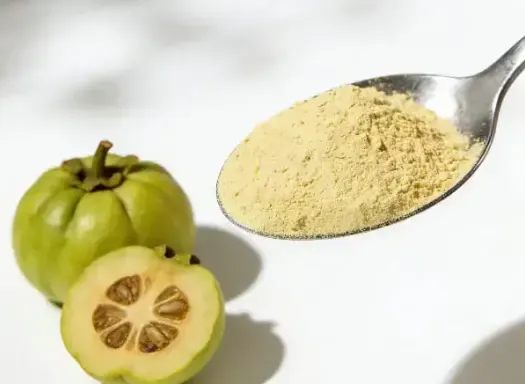 Garcinia cambogia fruit next to a spoon of garcinia powder